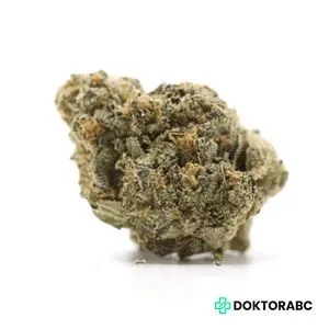 Medizinisches Cannabis Pavé S1