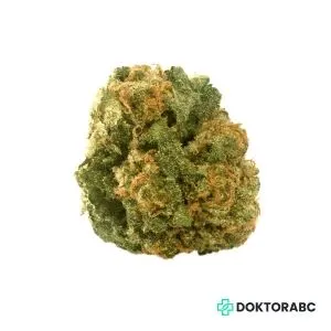 Medizinisches Cannabis Rockstar