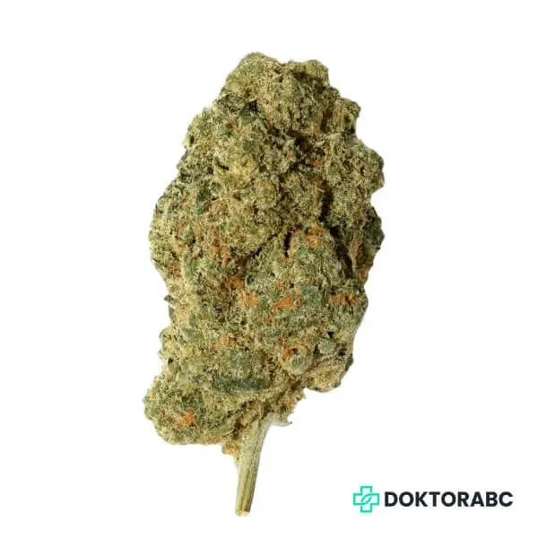 Medizinisches Cannabis Scoops