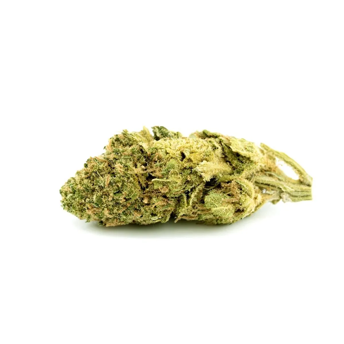 Medizinisches Cannabis Shiskaberry