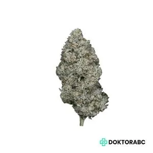 Medizinisches Cannabis Siggis Minze