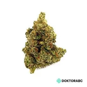 Medizinisches Cannabis Star Struck