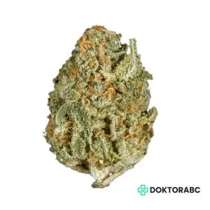 Medizinisches Cannabis White Rhino