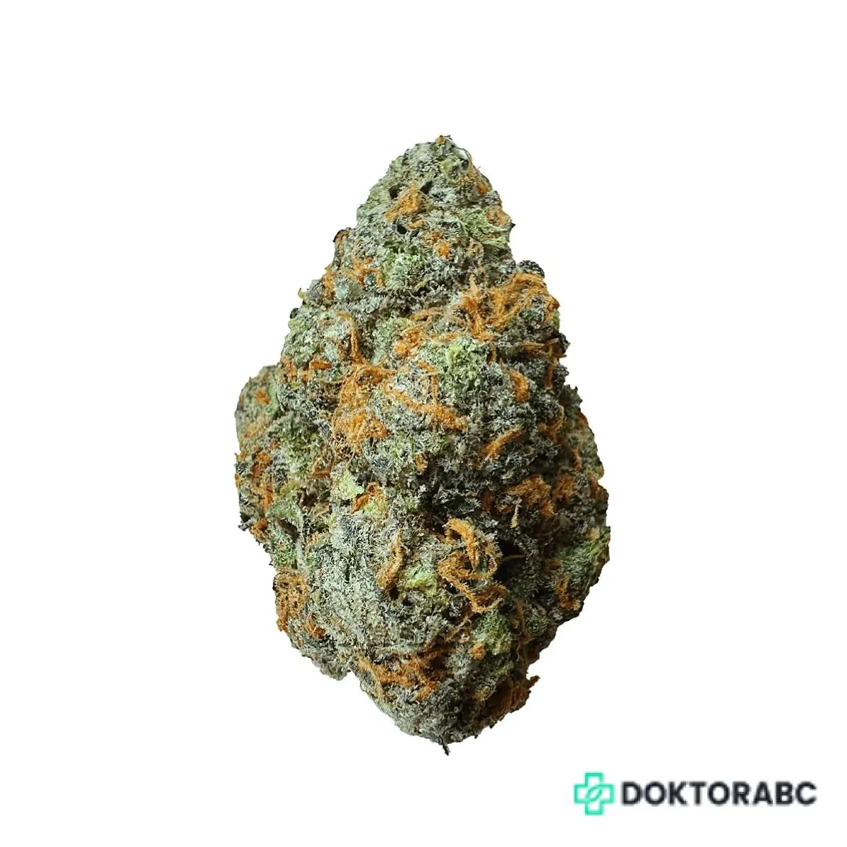 Medizinisches Cannabis The Zoap