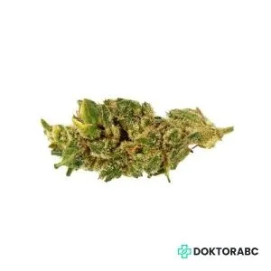 Medizinisches Cannabis Zour Apple