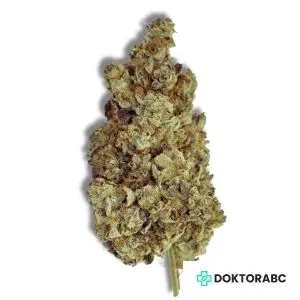 Medizinisches Cannabis Banana Cream