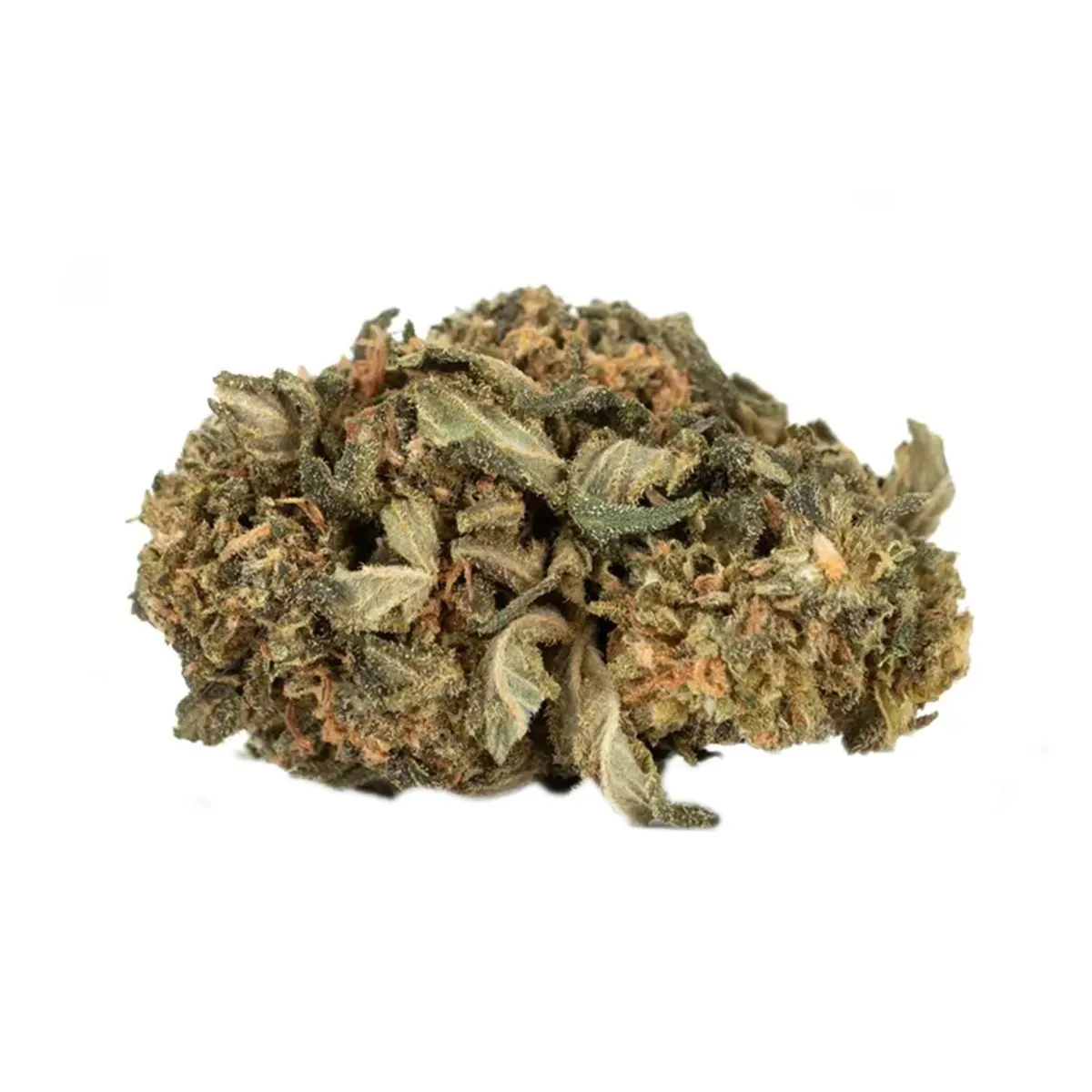 Medizinisches Cannabis Alien Dawg