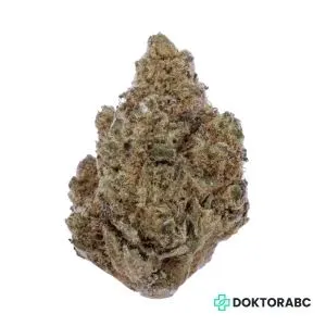 Medizinisches Cannabis Amnesia Lemon
