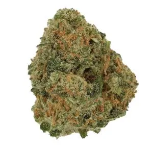 Medizinisches Cannabis Amsterdam Amnesia