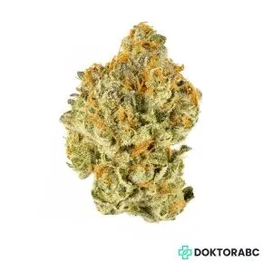 Medizinisches Cannabis Alien Cookie