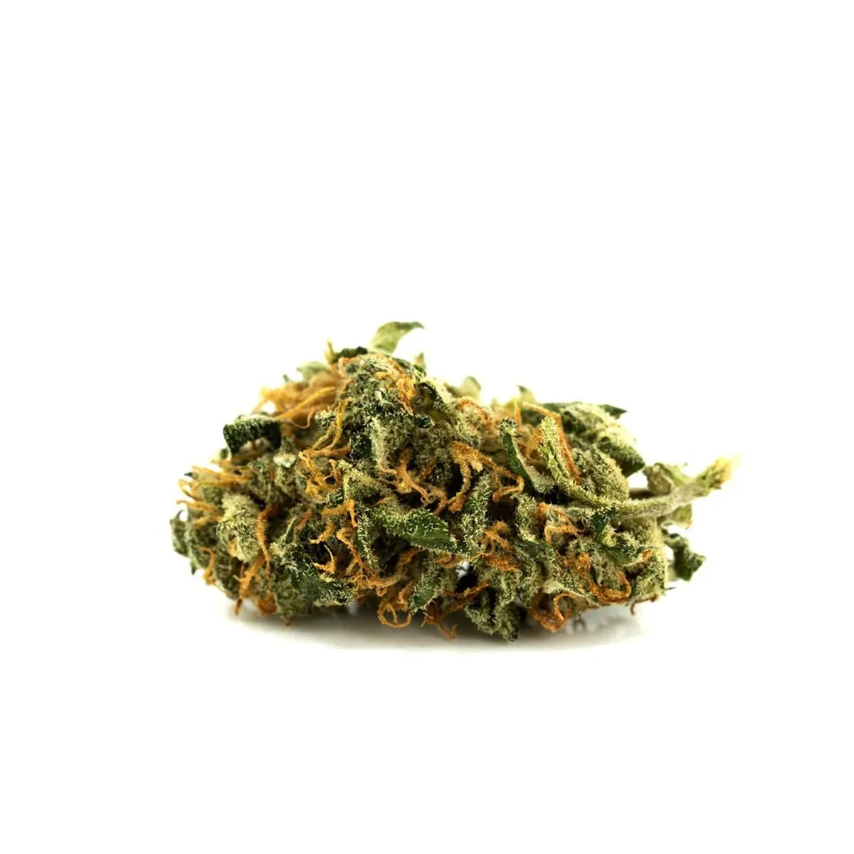 Medizinisches Cannabis Bienville