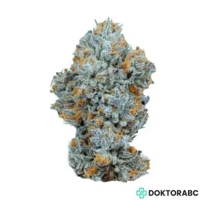 Medizinisches Cannabis Biscotti Mintz