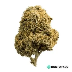 Medizinisches Cannabis Black Krush