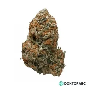 Medizinisches Cannabis Black Tuna