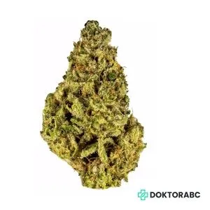 Medizinisches Cannabis Cement Shoes
