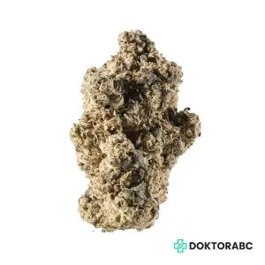 Medizinisches Cannabis Chatterbox