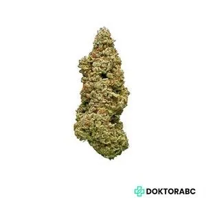 Medizinisches Cannabis Cheese Quake
