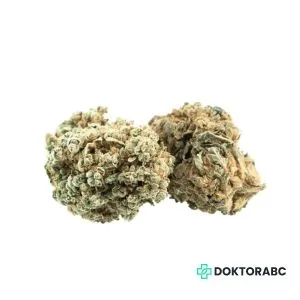 Medizinisches Cannabis Chocolate Mint