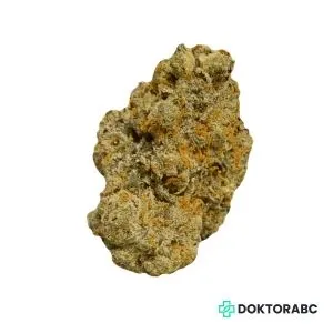 Medizinisches Cannabis Cinderella Kush