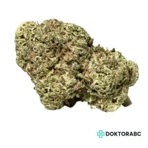 Medizinisches Cannabis Cookie Kush