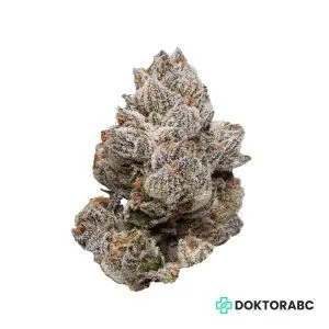 Medizinisches Cannabis Disco Biscuit