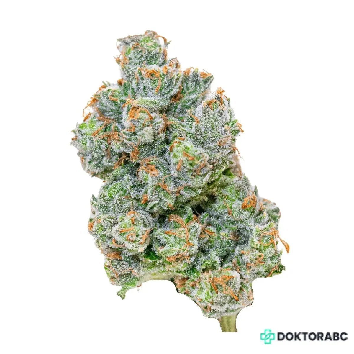 Medizinisches Cannabis Doce da Casa