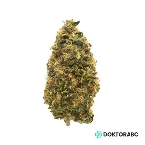 Medizinisches Cannabis Donny Burger