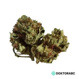 Medizinisches Cannabis Equiposa