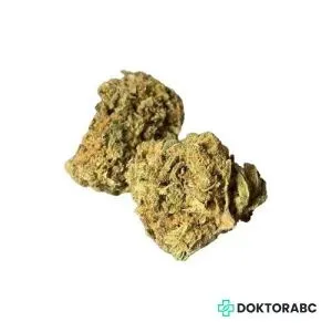 Medizinisches Cannabis Euforia