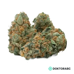 Medizinisches Cannabis GMO Cookies