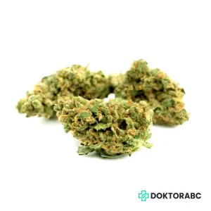Medizinisches Cannabis White Widow