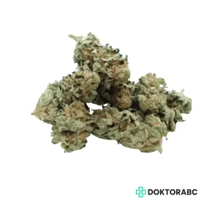 Medizinisches Cannabis Gelato #33