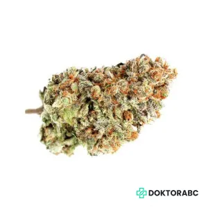 Medizinisches Cannabis Blueberry