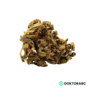 Medizinisches Cannabis Tangerine Dream