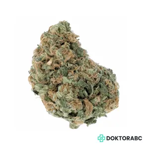 Medizinisches Cannabis Critical Orange Punch