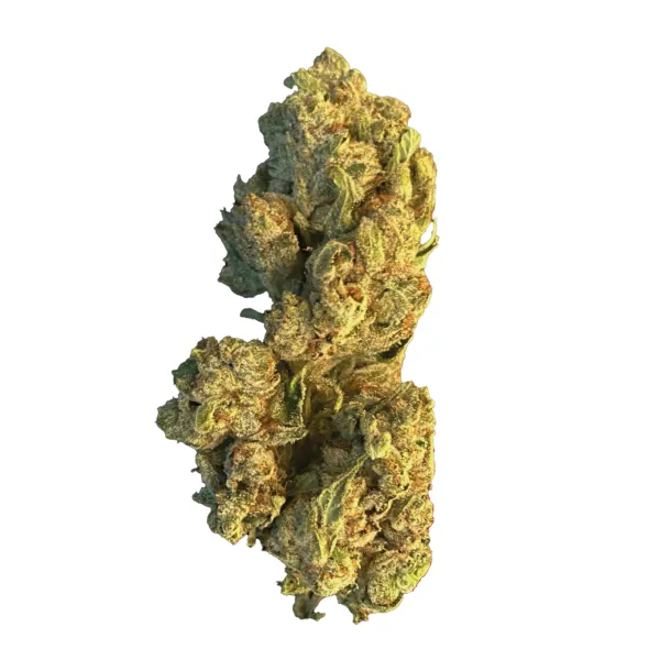 Medizinisches Cannabis White Gorilla