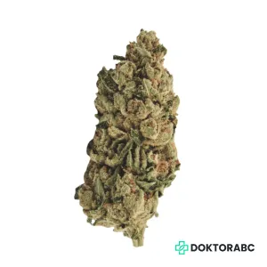 Medizinisches Cannabis Legendary Larry