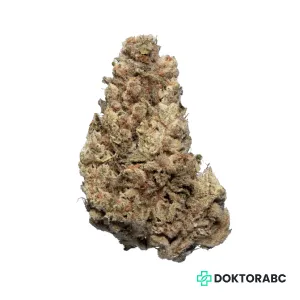 Medizinisches Cannabis Cold Creek Kush